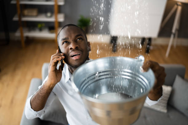 Best Water damage cleanup near me  in Oshkosh, WI