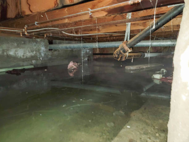 Best Flooded house restoration  in Oshkosh, WI
