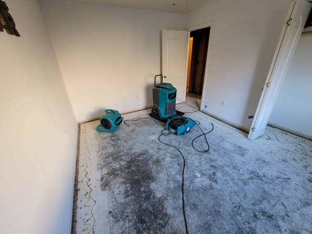 Best Carpet water damage restoration  in Oshkosh, WI