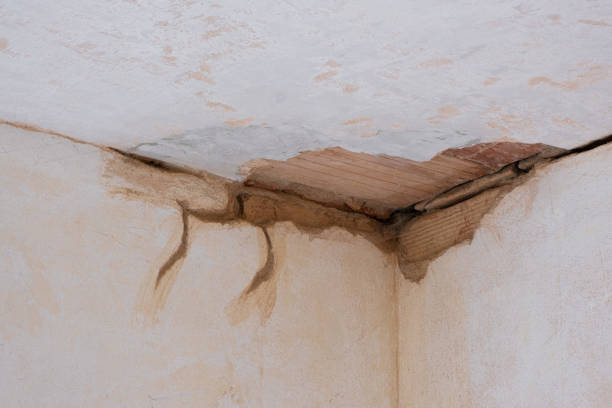 Best Basement water damage restoration  in Oshkosh, WI