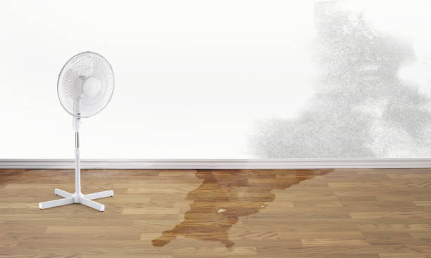 Best Fire Damage Restoration  in Oshkosh, WI