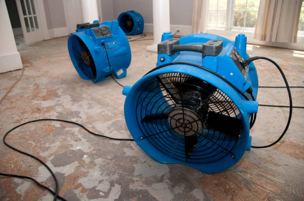 Best Emergency water damage restoration  in Oshkosh, WI