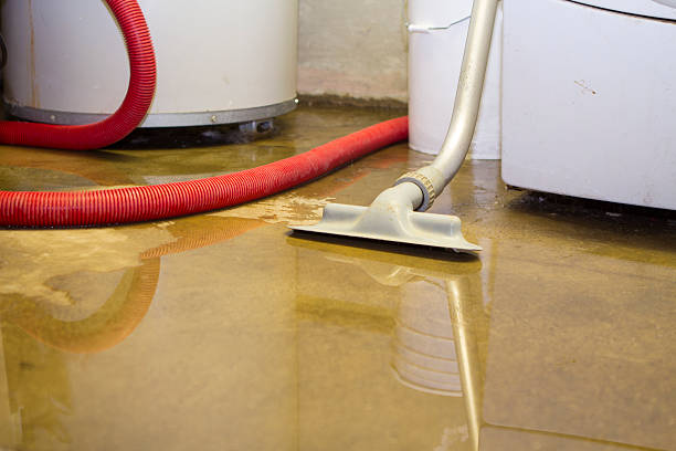 Best Water damage restoration near me  in Oshkosh, WI