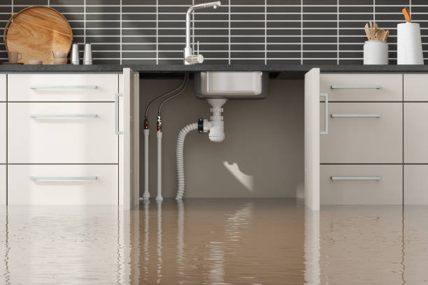 Best Mold removal after water damage  in Oshkosh, WI